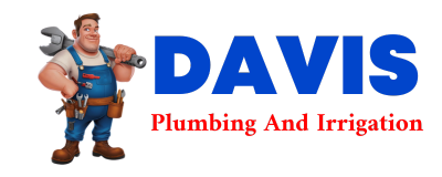 Trusted plumber in CONIFER